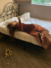 INTO THE EAST 24 Autumn and Winter Wool Blend Asymmetric Knit Top ITE-E1YGAW012RE20TP-HONG Red